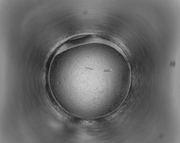 X0000090620346200707241134
