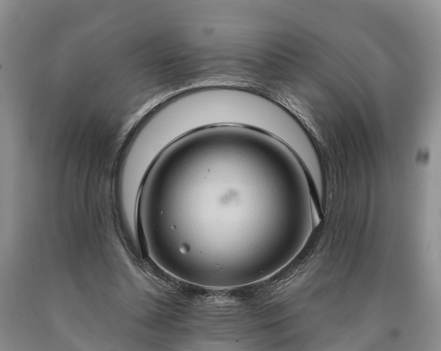 X0000090620348200707241134