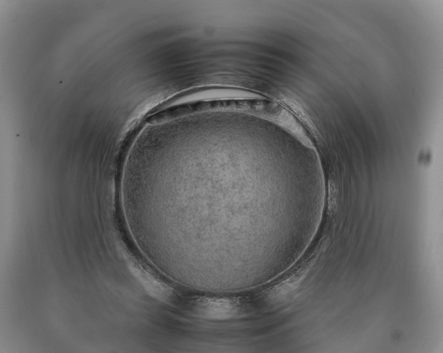 X0000090620349200707241134