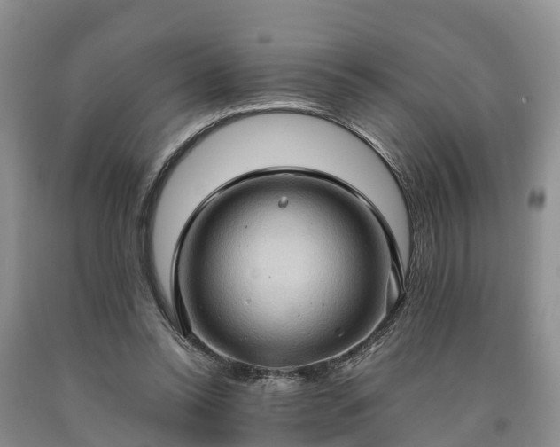 X0000090620350200707241134