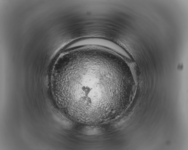 X0000090620351200707241134