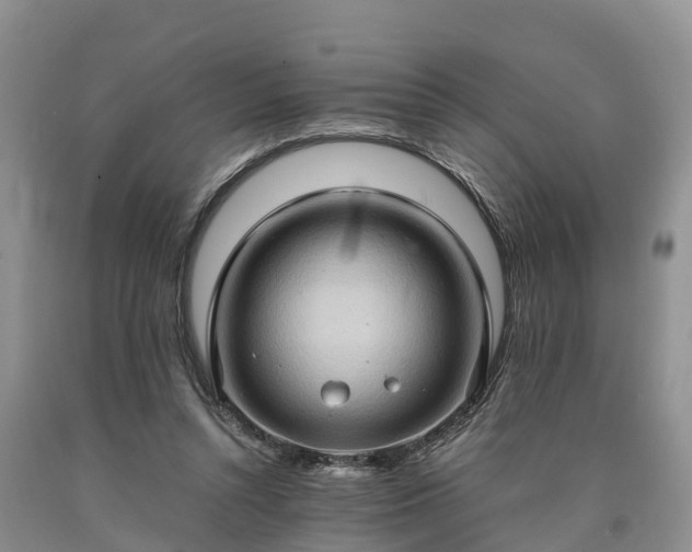 X0000090620352200707241134