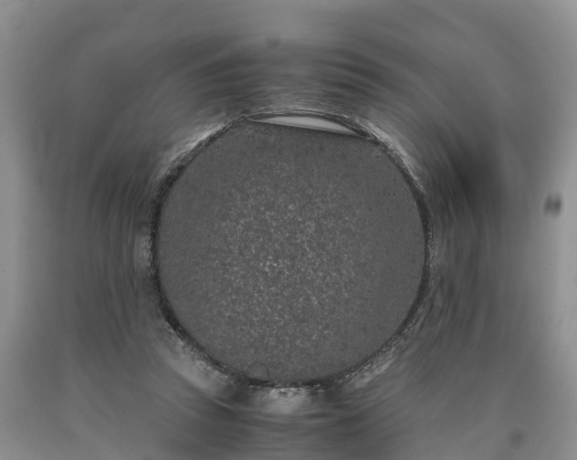 X0000090620353200707241134