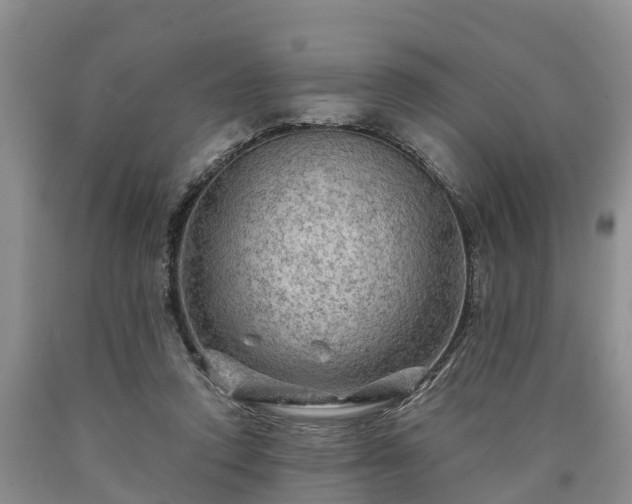 X0000090620354200707241134
