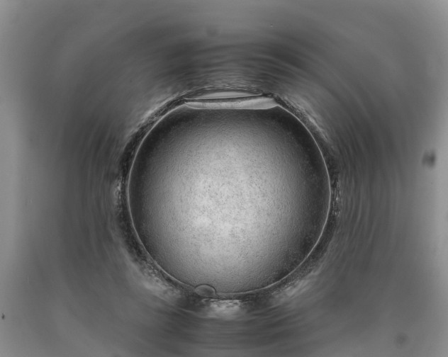 X0000090620355200707241134