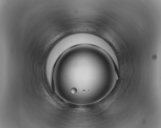 X0000090620356200707241134