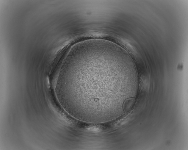 X0000090620358200707241134