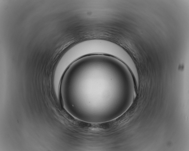 X0000090620360200707241134