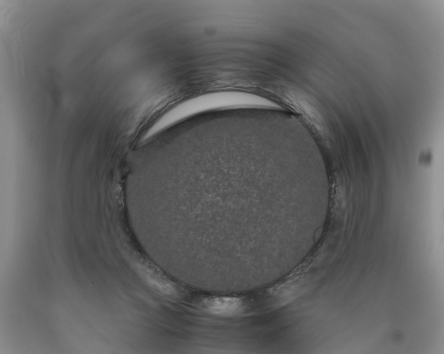 X0000090620361200707241134