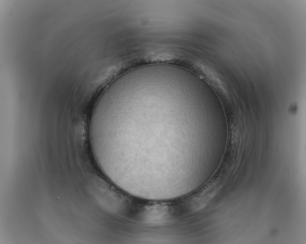 X0000090620362200707241134