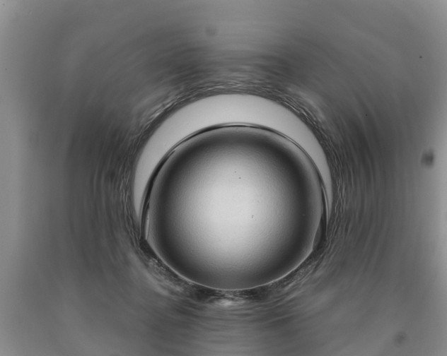 X0000090620364200707241134