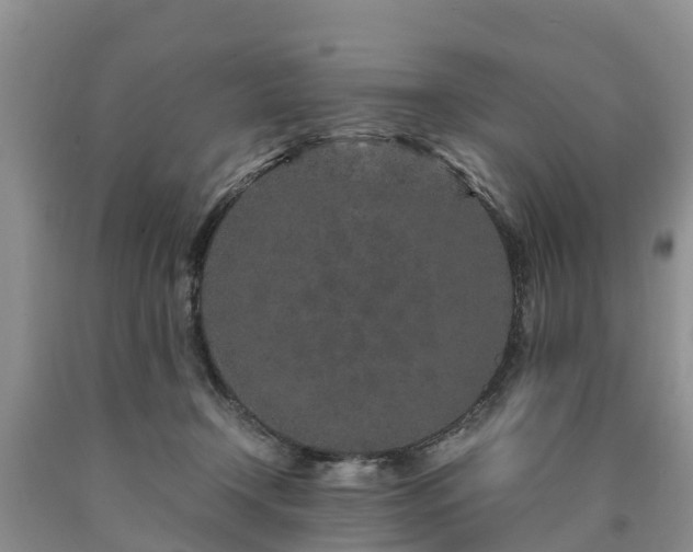 X0000090620366200707241134