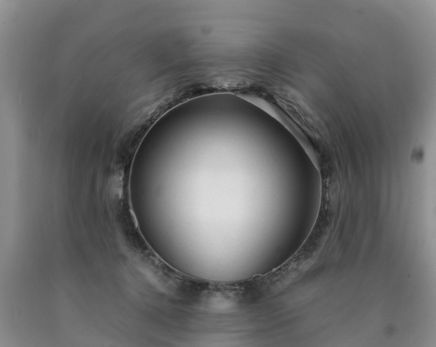 X0000090620368200707241135