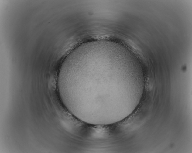 X0000090620370200707241135