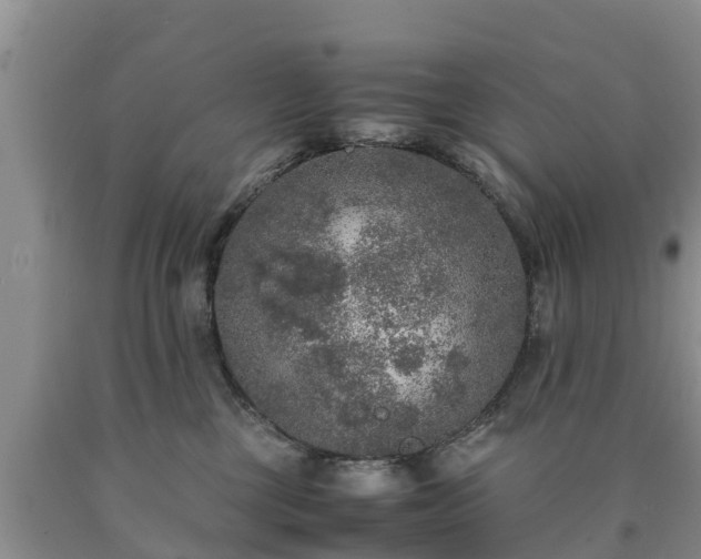 X0000090620377200707241135