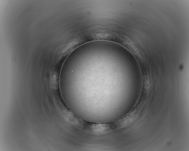X0000090620378200707241135