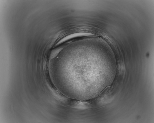 X0000090620379200707241135