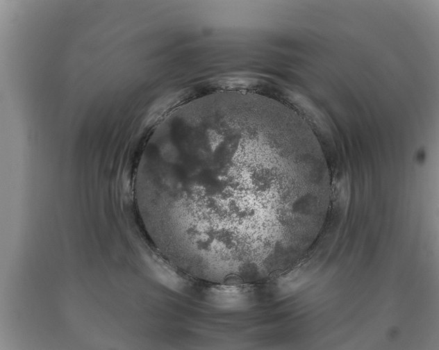 X0000090620381200707241135