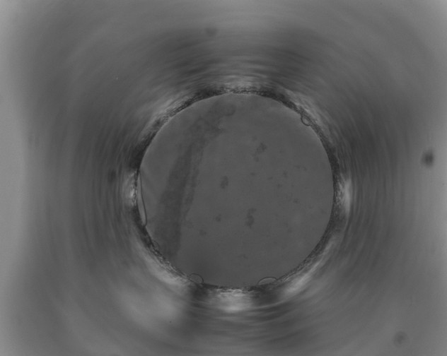 X0000090620383200707241135