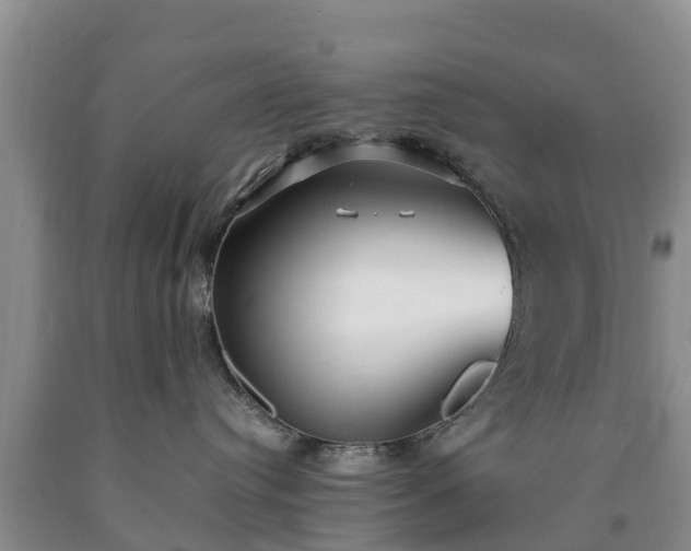 X0000090620384200707241135