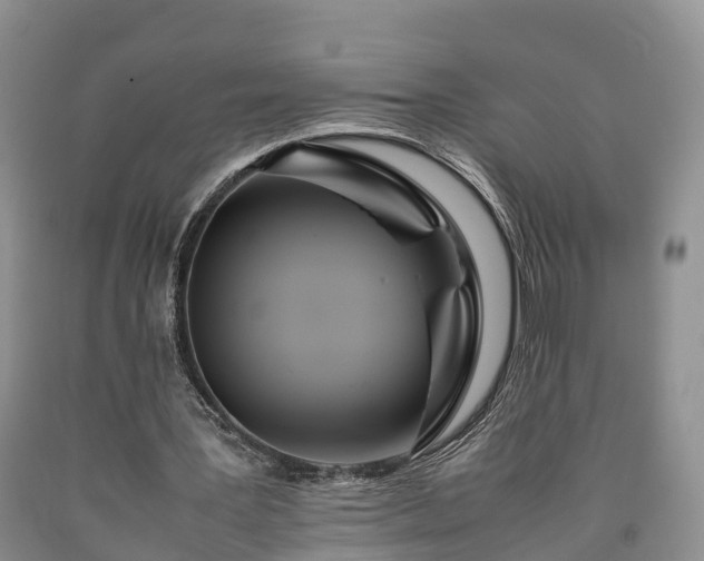 X0000090620387200707241134