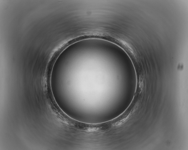 X0000090620388200707241134