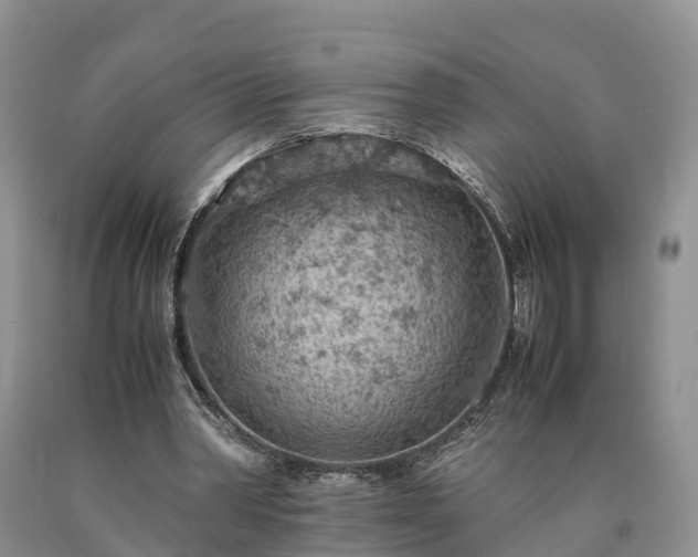 X0000090620390200707241134