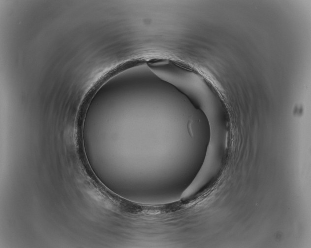X0000090620391200707241134