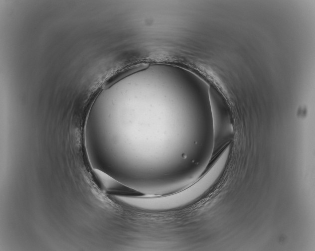 X0000090620393200707241134