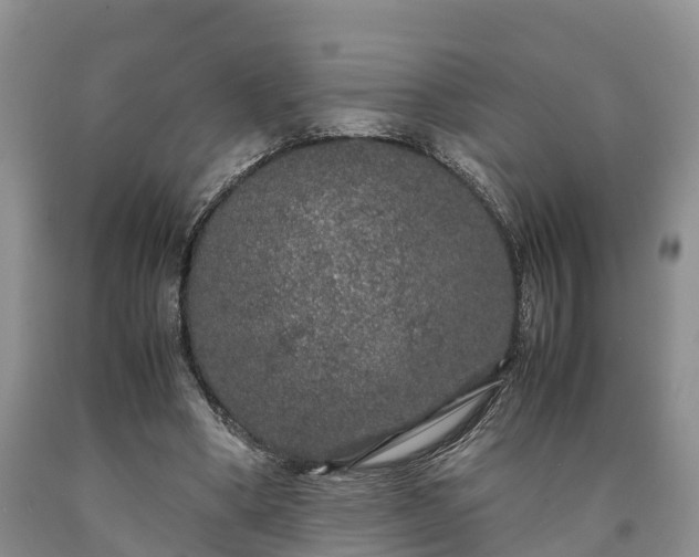 X0000090620394200707241134