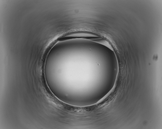 X0000090620395200707241134