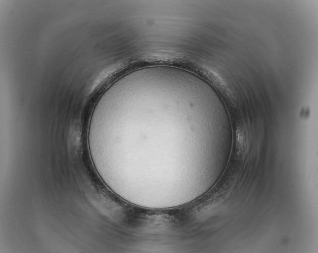 X0000090620396200707241134
