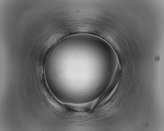 X0000090620397200707241134