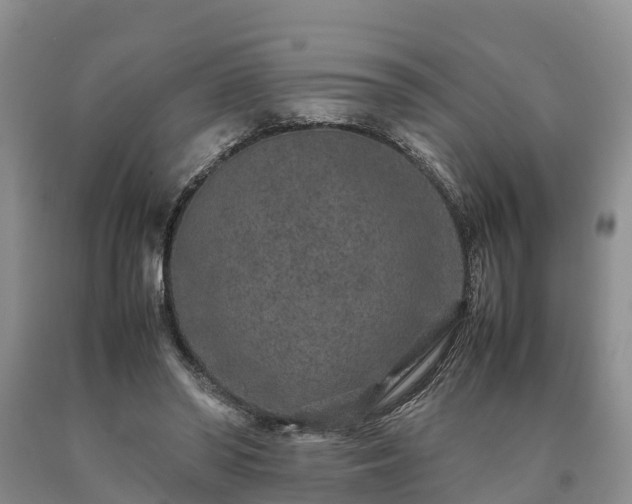 X0000090620398200707241134