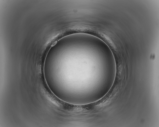 X0000090620399200707241134