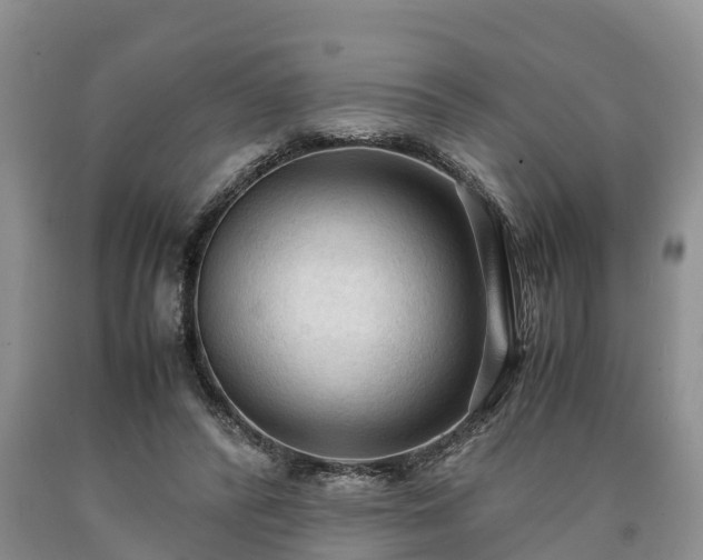 X0000090620400200707241134
