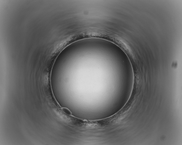 X0000090620401200707241134