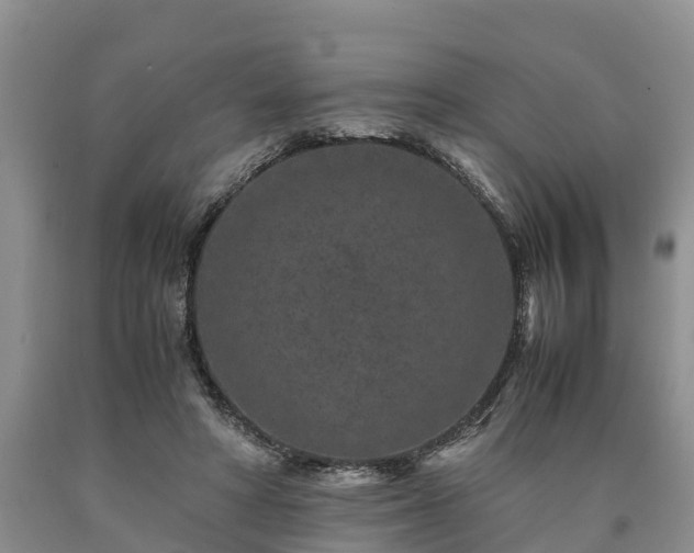 X0000090620402200707241134