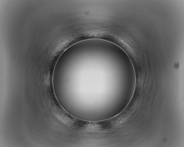 X0000090620403200707241134