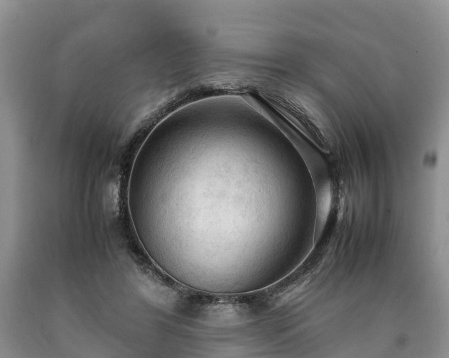 X0000090620404200707241134