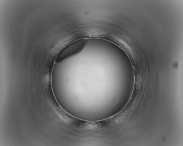 X0000090620405200707241134