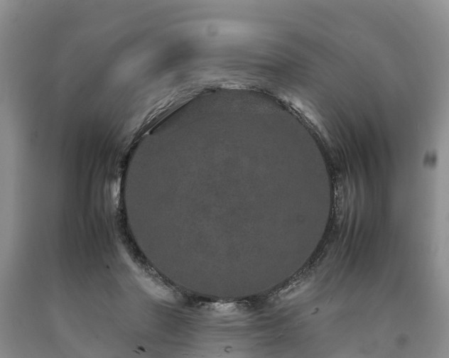 X0000090620406200707241134