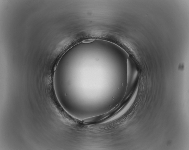 X0000090620407200707241134
