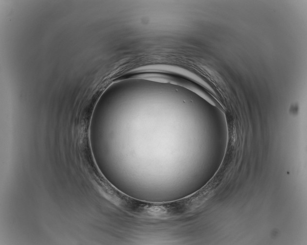 X0000090620409200707241134