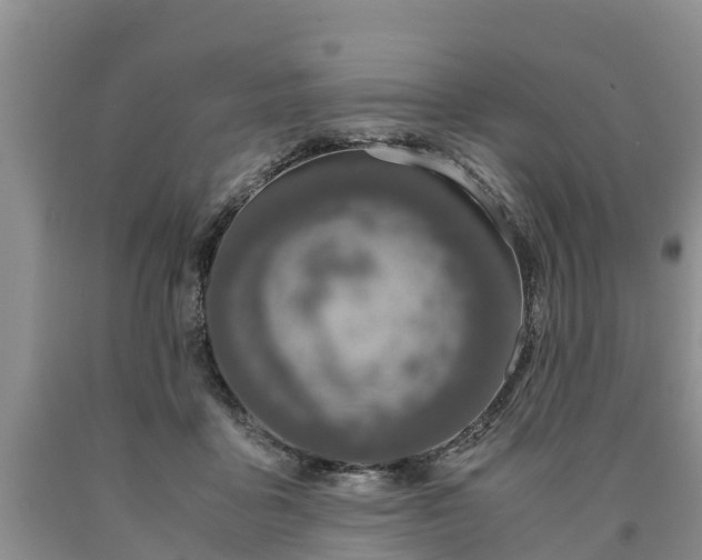 X0000090620411200707241134