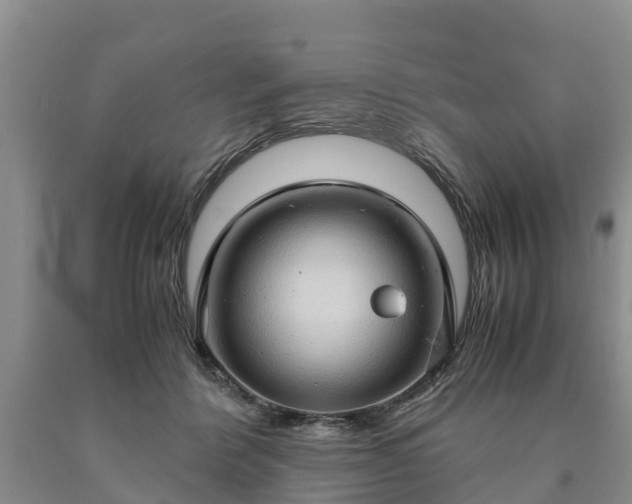 X0000090620412200707241134