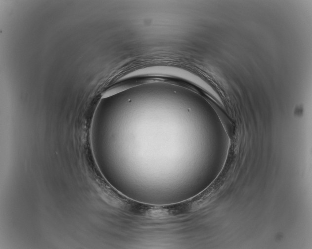 X0000090620413200707241134