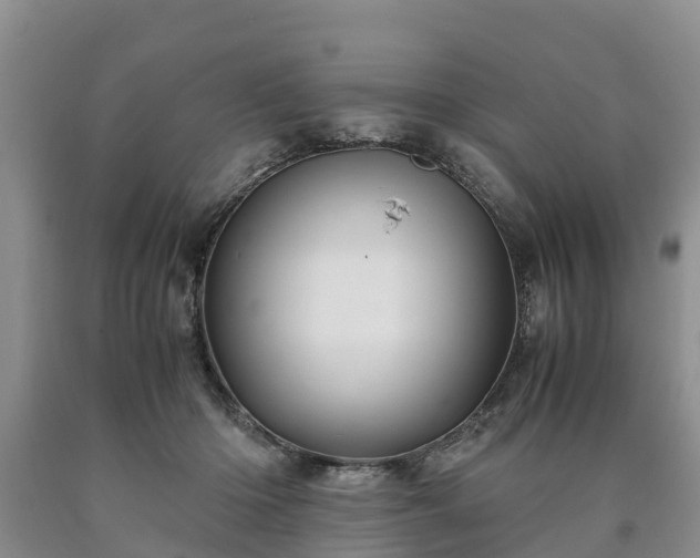 X0000090620414200707241134