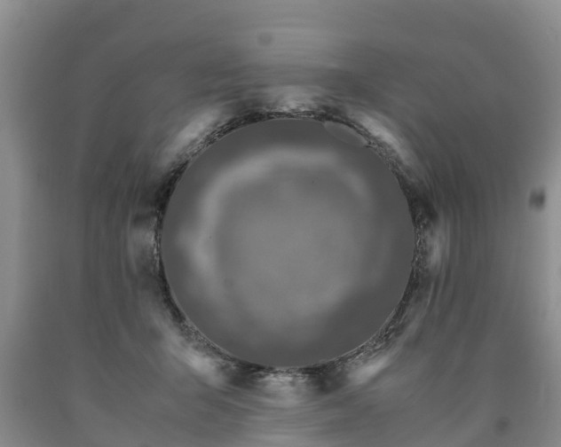 X0000090620415200707241134