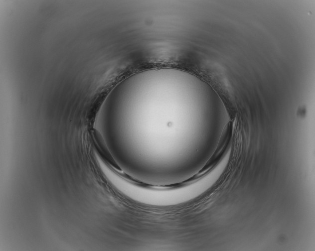 X0000090620416200707241134